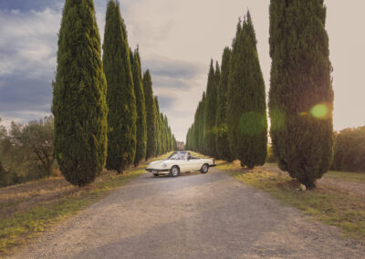 toskanski cempresi i mladenacki auto